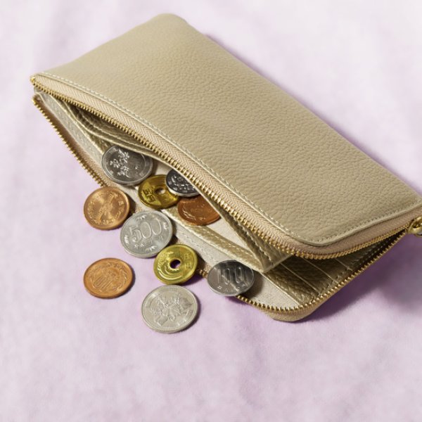 画像10: mononogu / もののぐ L字ジップロングウォレット 牛革メタリック (10)