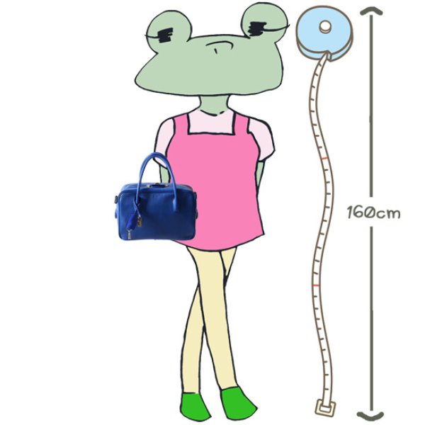 画像15: mononogu / もののぐ ブリッジボストン スモール (15)