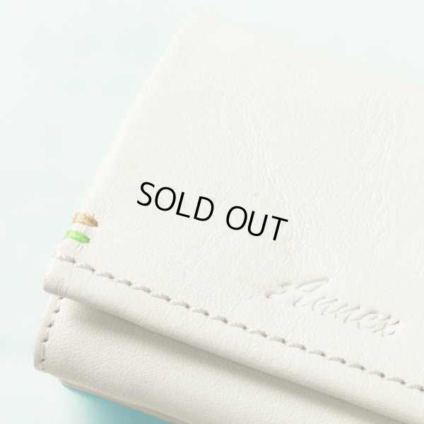 画像3: BAGGY'S ANNEX  / バギーズアネックス バルサビア ミニウォレット (3)