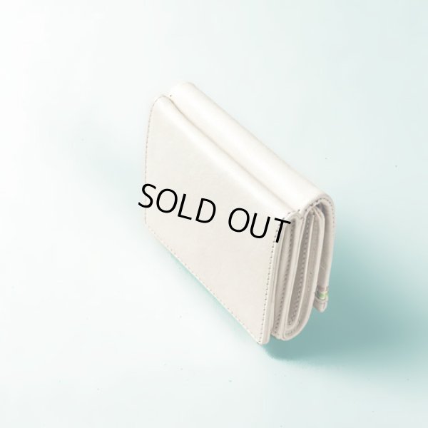 画像6: BAGGY'S ANNEX  / バギーズアネックス バルサビア ミニウォレット (6)