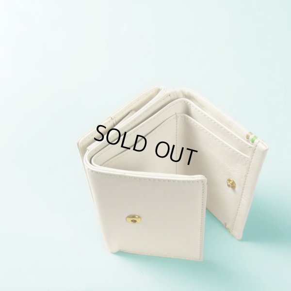 画像4: BAGGY'S ANNEX  / バギーズアネックス バルサビア ミニウォレット (4)