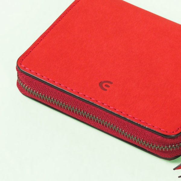 画像4: BAGGYPORT / バギーポート BUONA スクエアウォレット (4)