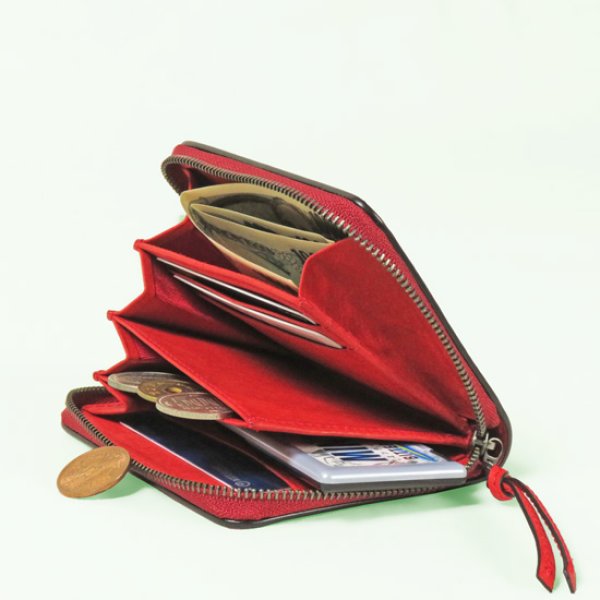 画像6: BAGGYPORT / バギーポート BUONA スクエアウォレット (6)