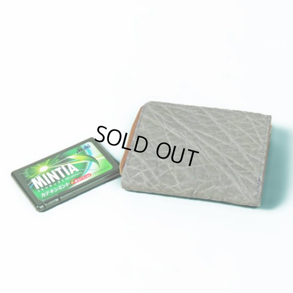 画像10: Kc,s / ケーシーズ エレファント Lジップコンパクトウォレット (10)