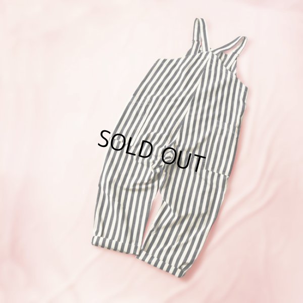 画像5: HARVESTY / ハーベスティ ノンフェイドストライプオーバーオール (5)