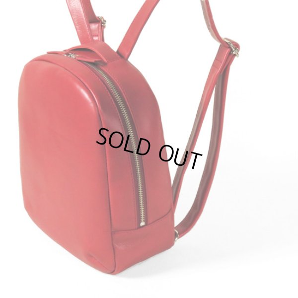 画像4: TIDEWAY / タイドウェイ ICY RUCK (4)