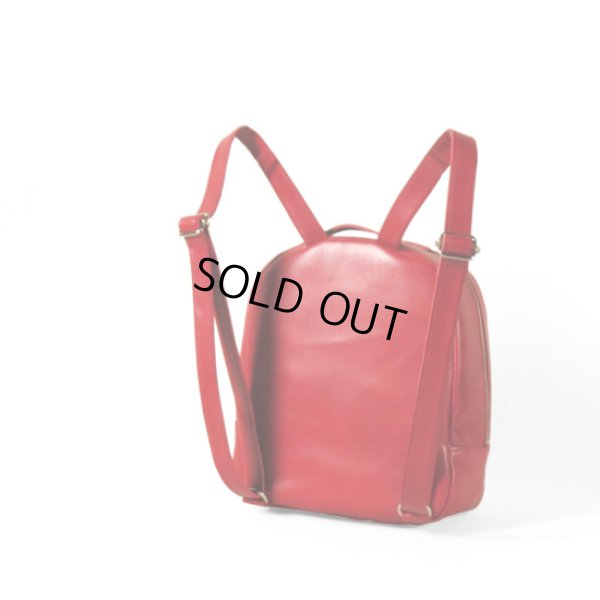 画像3: TIDEWAY / タイドウェイ ICY RUCK (3)