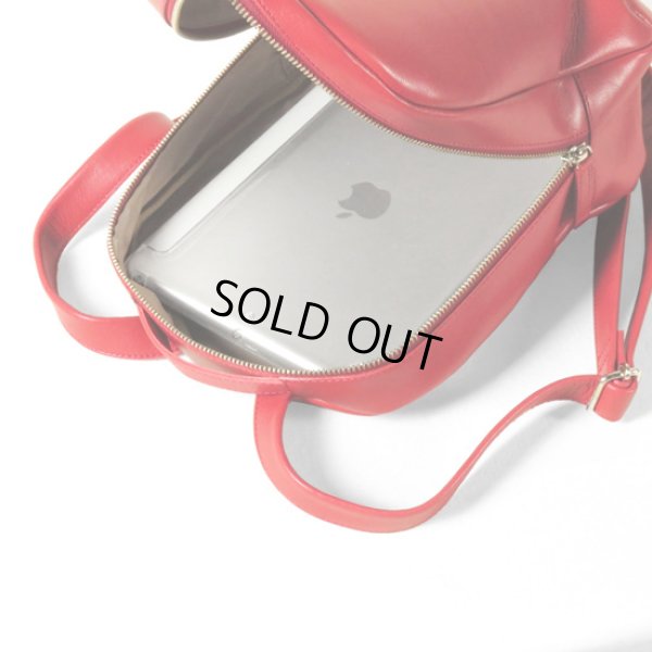 画像11: TIDEWAY / タイドウェイ ICY RUCK (11)