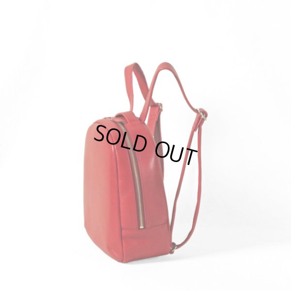 画像2: TIDEWAY / タイドウェイ ICY RUCK (2)