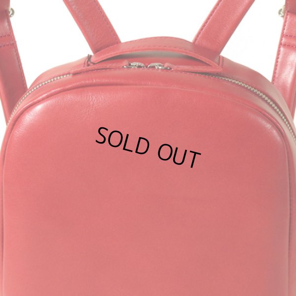 画像5: TIDEWAY / タイドウェイ ICY RUCK (5)