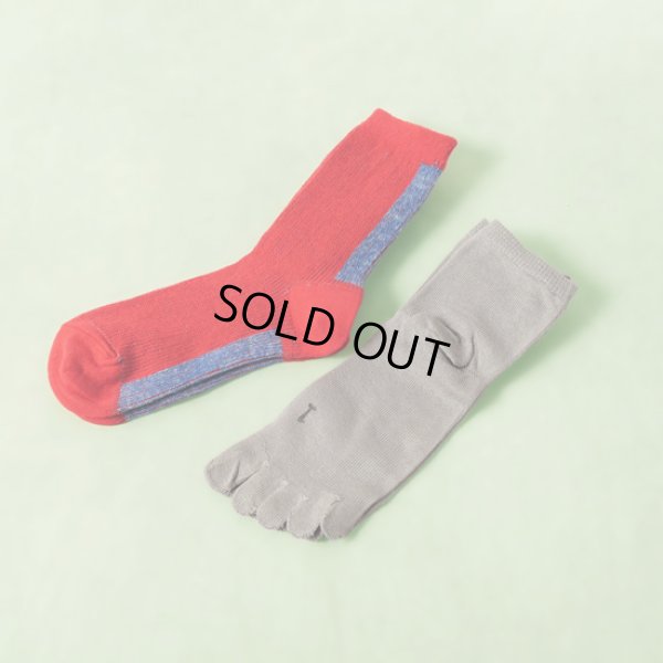 250 レッド/ライトグレー