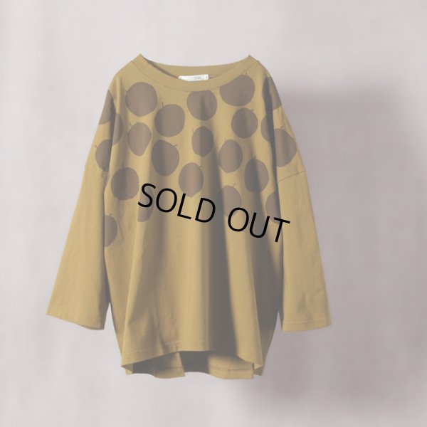 640 キンチャ×ブラウン