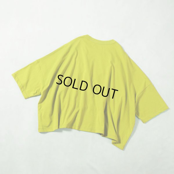 画像6: ESTROISLOSE / エストゥロワルーズ シック天竺切替Tシャツ (6)