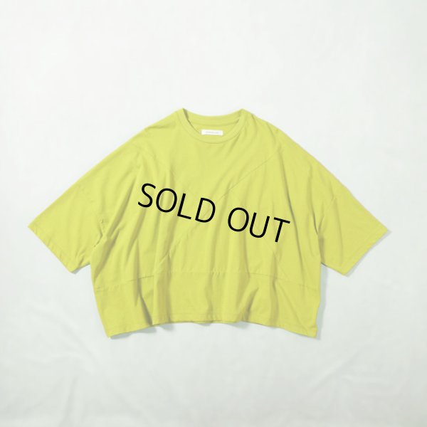 37 セージグリーン