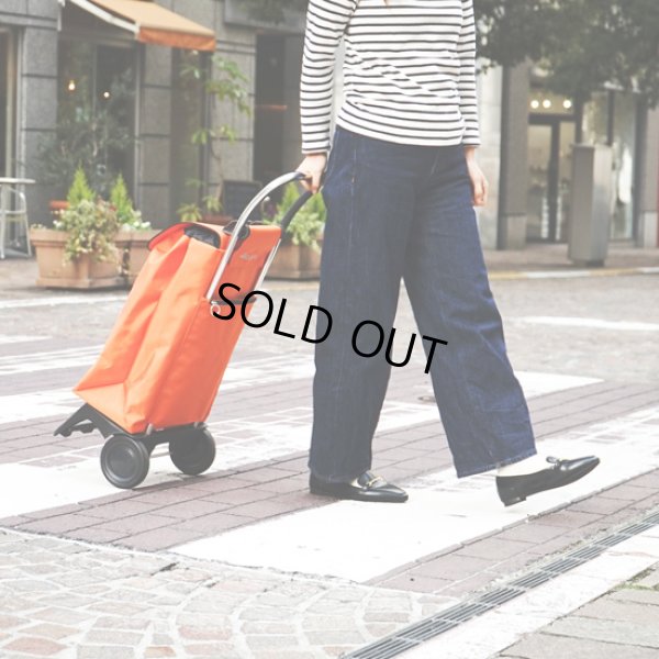 画像17: ROLSER / ロルサー BABY JOY COLOR (17)