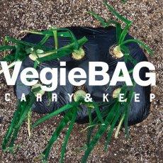 画像18: VegieBAG / ベジバッグ LARGE (18)