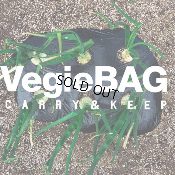 画像20: VegieBAG / ベジバッグ FLAP (20)