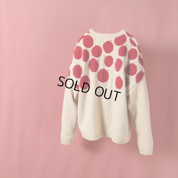 画像6: NATURAL LAUNDRY / ナテュラルランドリー エアー リンゴジャガードプルオーバー (6)