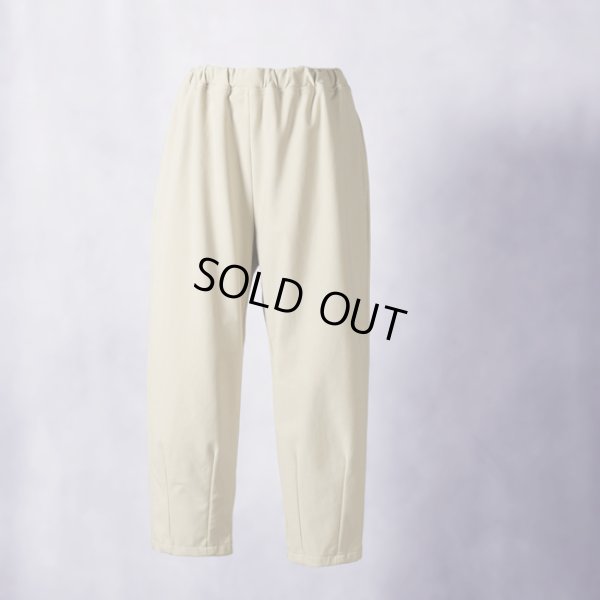 画像7: prit / プリット ツイルストレッチジャージ裏起毛裾ダーツパンツ (7)