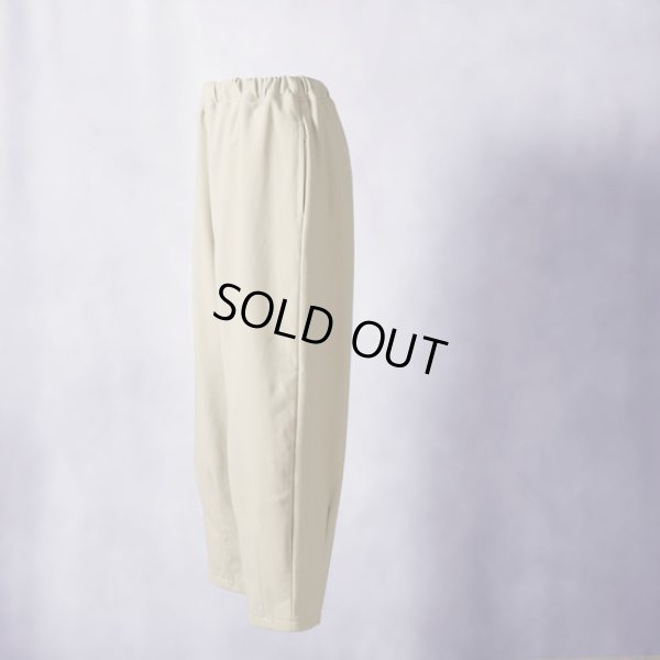 画像4: prit / プリット ツイルストレッチジャージ裏起毛裾ダーツパンツ (4)