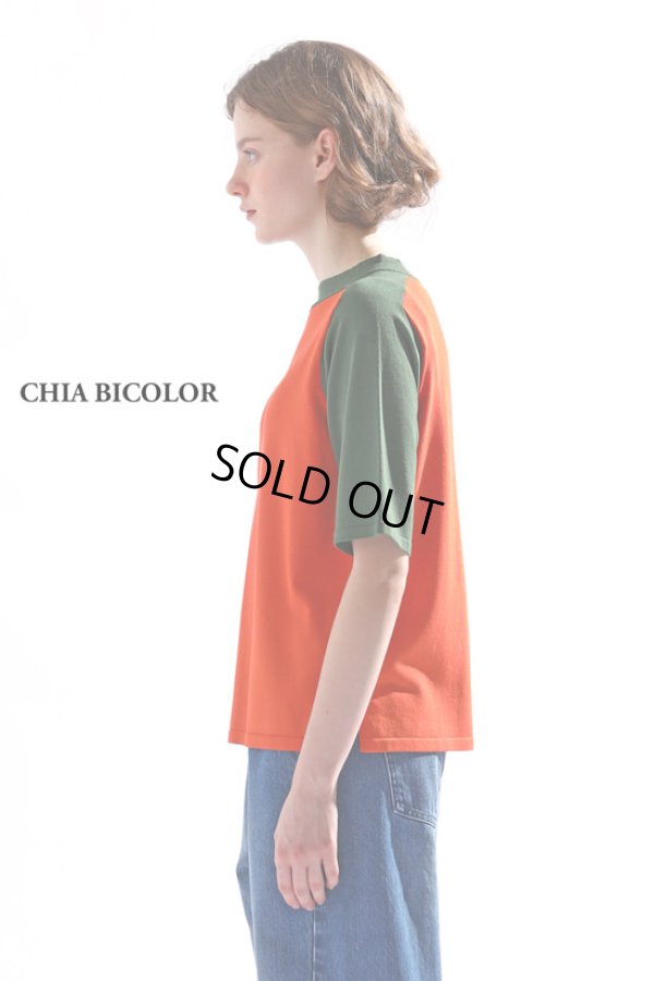 画像5: KELEN / ケレン バイカラーハーフスリーブニットトップス CHIA BICOLOR (5)