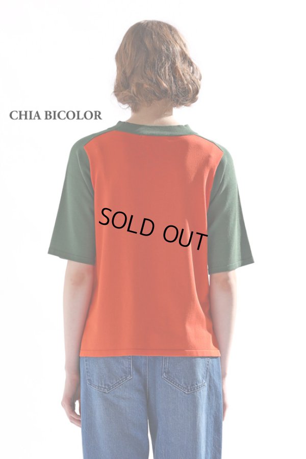 画像6: KELEN / ケレン バイカラーハーフスリーブニットトップス CHIA BICOLOR (6)