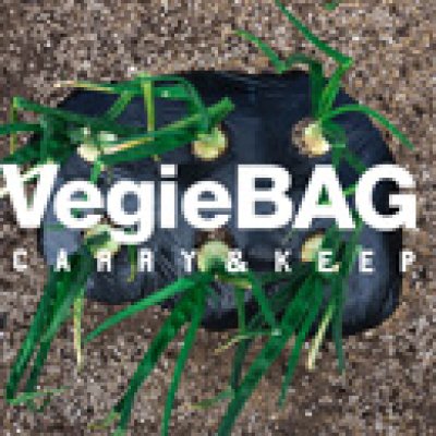 画像1: VegieBAG / ベジバッグ BICOLOR FLAP