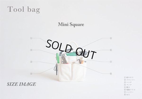 画像10: VegieBAG / ベジバッグ BICOLOR MINI SQUARE (10)