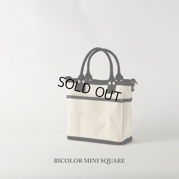 画像4: VegieBAG / ベジバッグ BICOLOR MINI SQUARE (4)