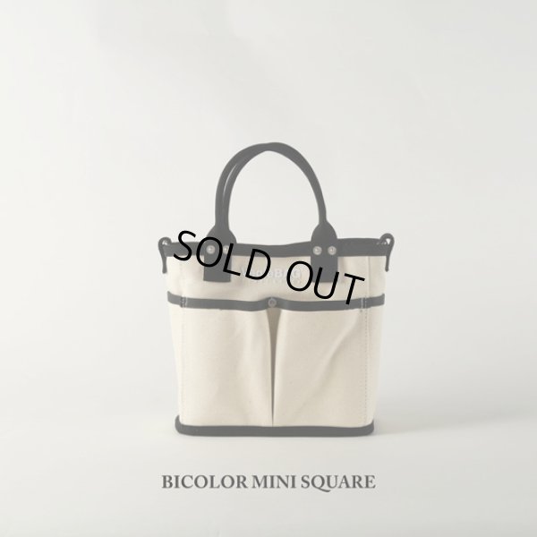 画像2: VegieBAG / ベジバッグ BICOLOR MINI SQUARE (2)