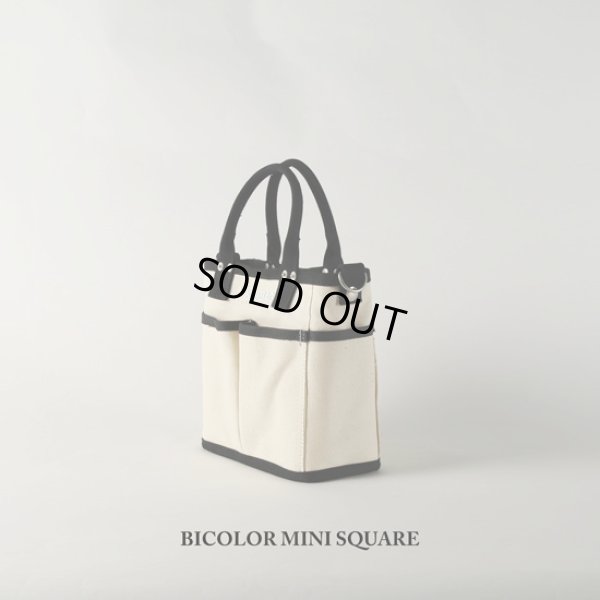 画像3: VegieBAG / ベジバッグ BICOLOR MINI SQUARE (3)