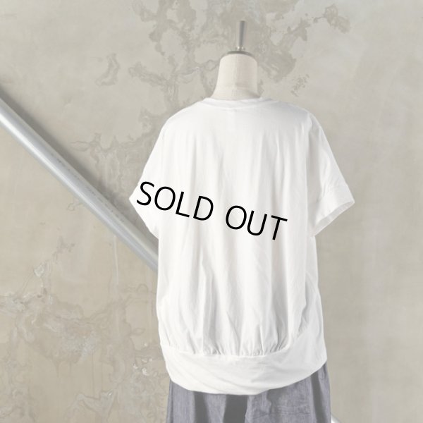 画像10: prit / プリット ハイゲージ天竺×ローンパターンフラワー刺しゅう 切替ショートスリーブプルオーバー (10)