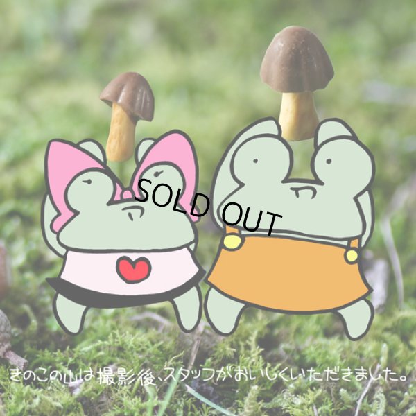 画像13: Kanmi / カンミ mash トートショルダーバッグ (13)