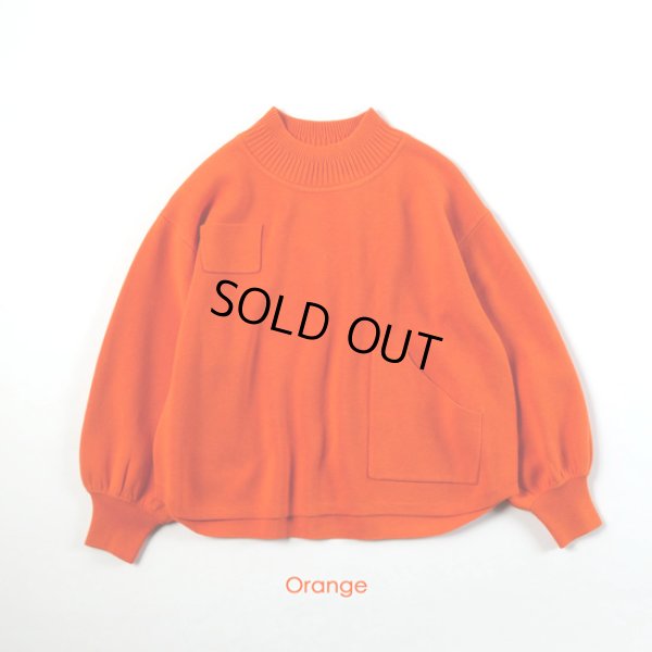 画像11: ESTROISLOSE / エストゥロワルーズ コットンミラノリブ タートルプルオーバー (11)