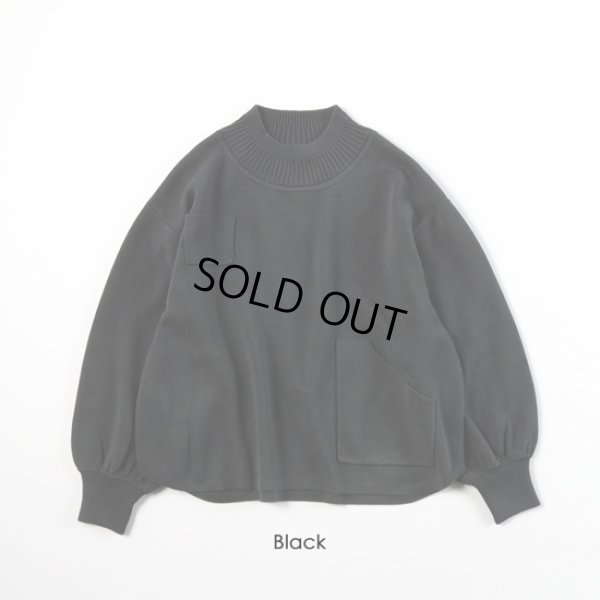 画像12: ESTROISLOSE / エストゥロワルーズ コットンミラノリブ タートルプルオーバー (12)