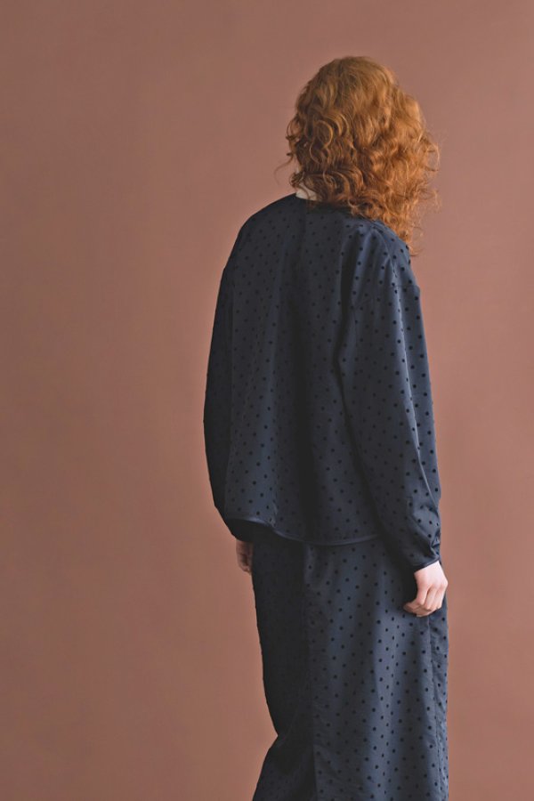 画像3: WHYTO. / ホワイト スリットネック ドットブラウス (3)