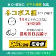 画像16: 1/2 HALF / ニブンノイチハーフ KEY/PAY エンボス (16)