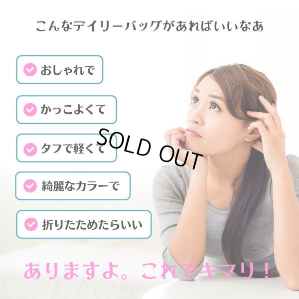 画像2: ニブンノイチハーフ ナイロンパッカブル (2)