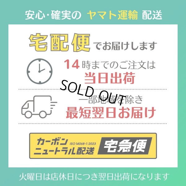 画像11: ニブンノイチハーフ ターポリンメッセンジャー (11)