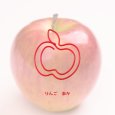 画像17: トナリノショップ ホットペーパークリップ (17)