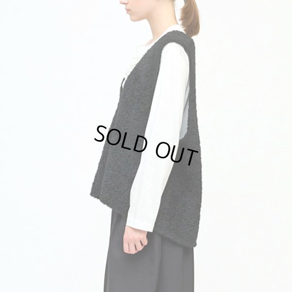 画像6: mizuiroind / ミズイロインド ヘアリーVネックベスト (6)