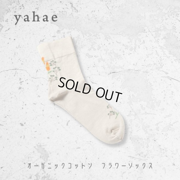 画像10: yahae / ヤハエ オーガニックコットン フラワーソックス (10)