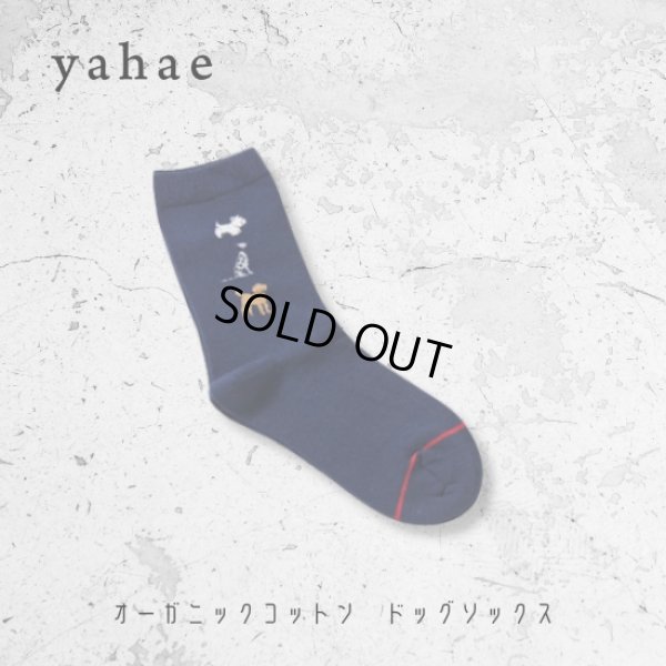 画像11: yahae / ヤハエ オーガニックコットン ドッグソックス (11)