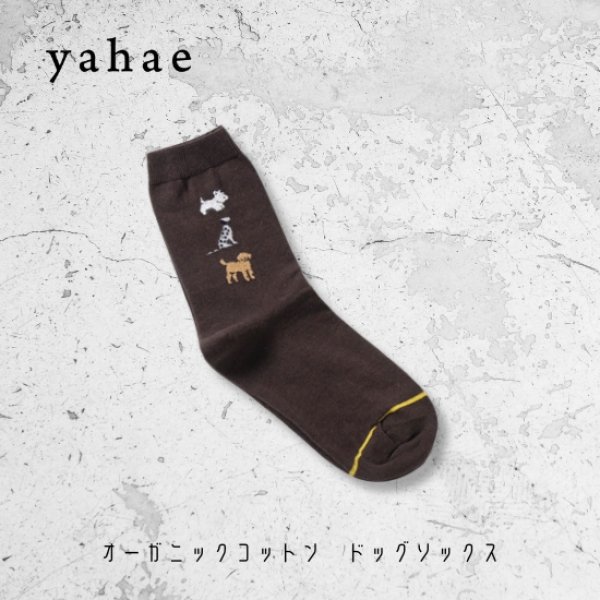 画像2: yahae / ヤハエ オーガニックコットン ドッグソックス (2)