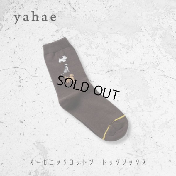 画像2: yahae / ヤハエ オーガニックコットン ドッグソックス (2)
