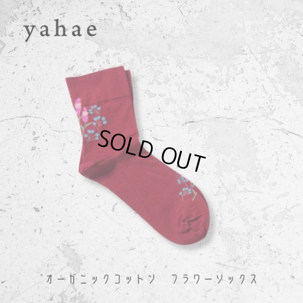 画像2: yahae / ヤハエ オーガニックコットン フラワーソックス (2)