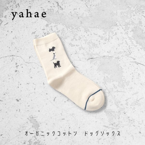 画像9: yahae / ヤハエ オーガニックコットン ドッグソックス (9)