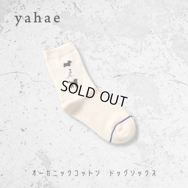 画像9: yahae / ヤハエ オーガニックコットン ドッグソックス (9)