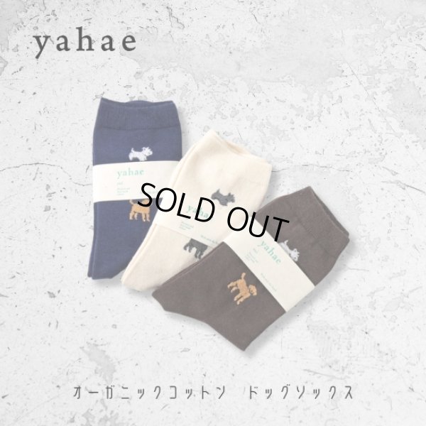 画像1: yahae / ヤハエ オーガニックコットン ドッグソックス (1)