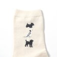 画像10: yahae / ヤハエ オーガニックコットン ドッグソックス (10)